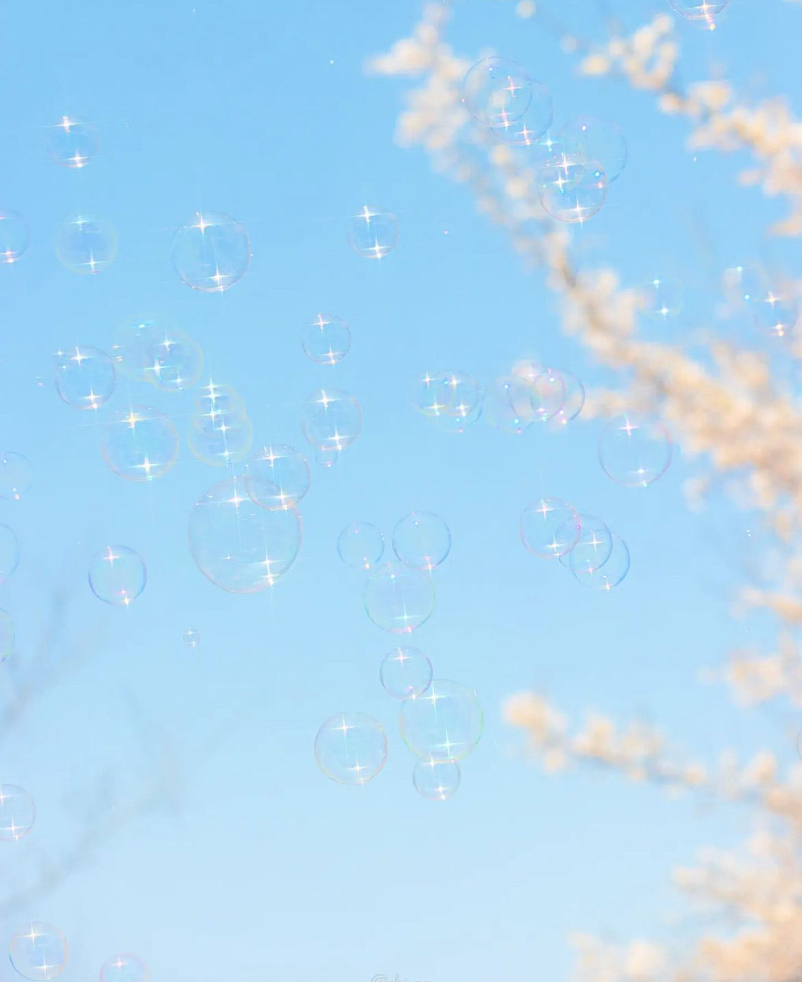Shine Bright Sensory